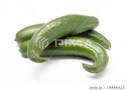 曲がったキュウリ 19846423