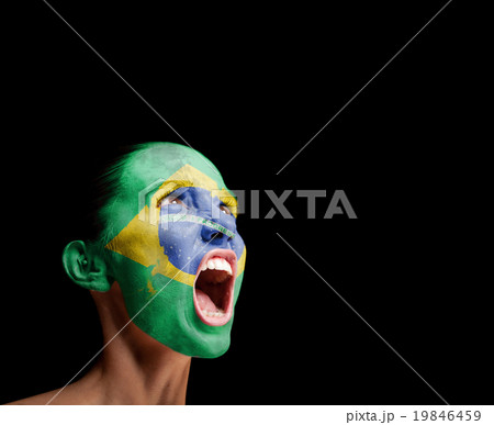 The Brazilian flag 19846459
