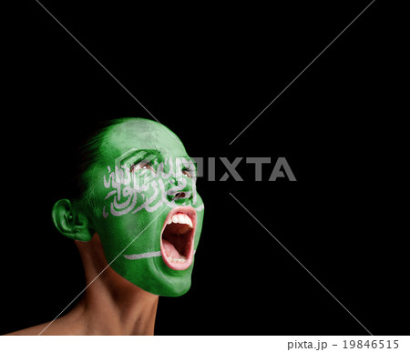 The Saudi Arabia flag 19846515