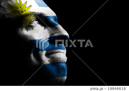 Sports fan - a patriot. Sports fan - a patriot. 19846618