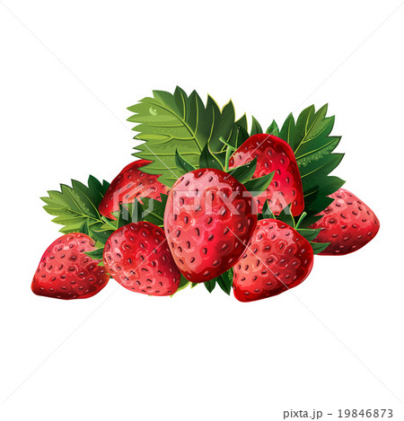 Red Strawberries With Leaves Red Strawberries With Leaves 19846873