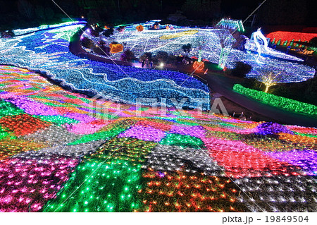 伊豆ぐらんぱる公園　イルミネーション 19849504