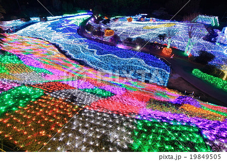 伊豆ぐらんぱる公園　イルミネーション 19849505