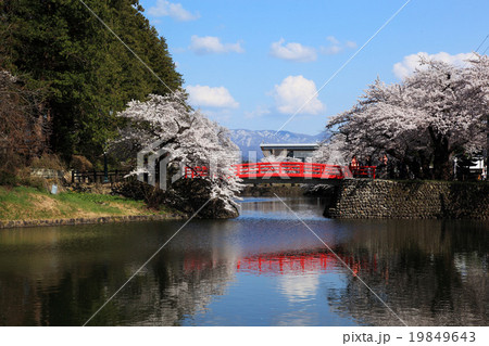 春の米沢城址堀 19849643