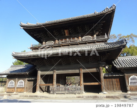 大樹寺 19849787