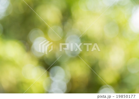 Abstract bokeh and blurred used as background 19850177