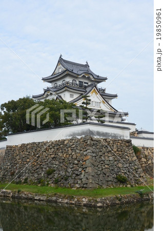 岸和田城（大阪府岸和田市岸城町） 19850961
