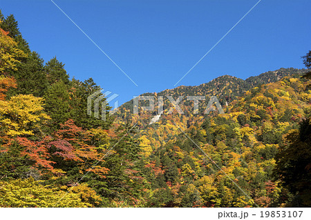 安曇の紅葉と青空 19853107