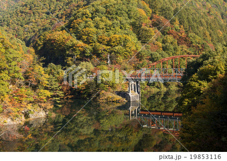 藤原湖の奥利根橋と紅葉 藤原湖の奥利根橋と紅葉 19853116