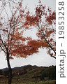 秋の野山 19853258