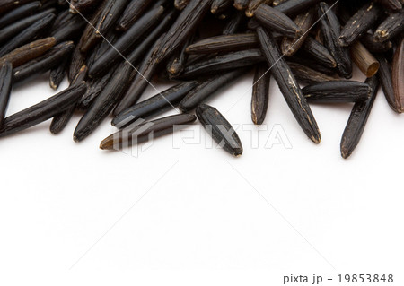 ワイルドライス(マコモ): Wild rice ワイルドライス(マコモ): Wild rice 19853848