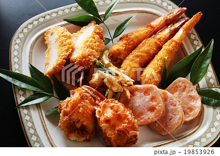 揚げ物 19853926