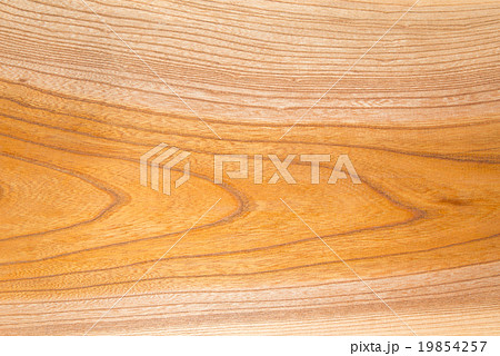ケヤキの木目 19854257