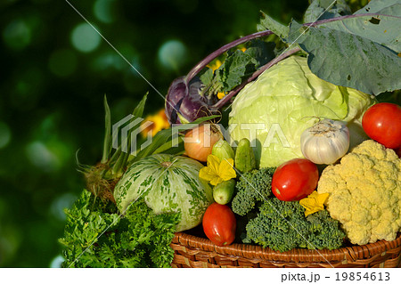 vegetables in basket 19854613