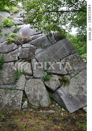 盛岡城の石垣（盛岡城跡公園(岩手公園)／岩手県盛岡市内丸1-37） 19855084