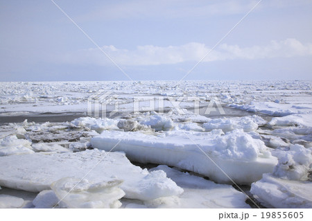 流氷 19855605