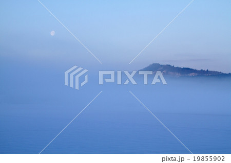 夜明けの月 19855902