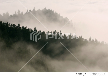 霧立つ山稜 霧立つ山稜 19855903