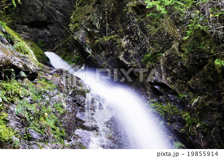 払沢の滝 19855914