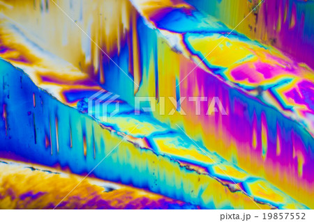 クエン酸の結晶の顕微鏡写真 19857552