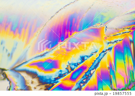 クエン酸の結晶の顕微鏡写真 19857555