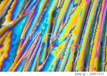 クエン酸の結晶の顕微鏡写真 クエン酸の結晶の顕微鏡写真 19857557