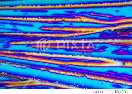 クエン酸の結晶の顕微鏡写真 19857559