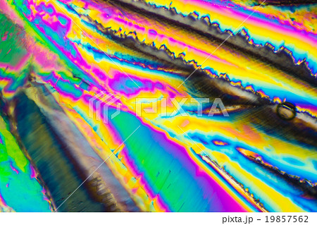 クエン酸の結晶の顕微鏡写真 19857562