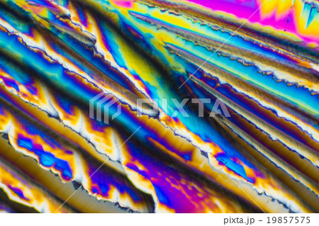 クエン酸の結晶の顕微鏡写真 19857575