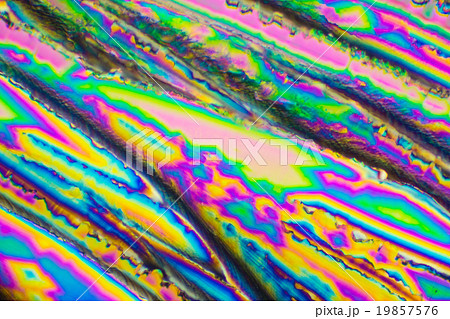 クエン酸の結晶の顕微鏡写真 19857576