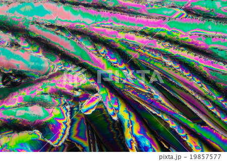 クエン酸の結晶の顕微鏡写真 19857577