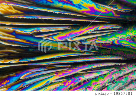 クエン酸の結晶の顕微鏡写真 19857581