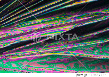 クエン酸の結晶の顕微鏡写真 19857582