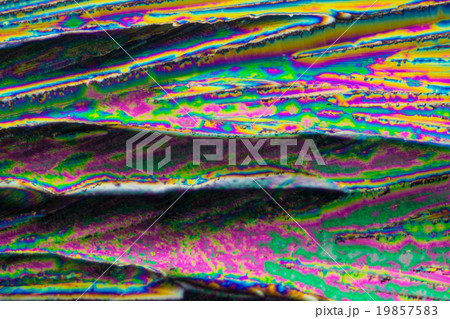 クエン酸の結晶の顕微鏡写真 クエン酸の結晶の顕微鏡写真 19857583