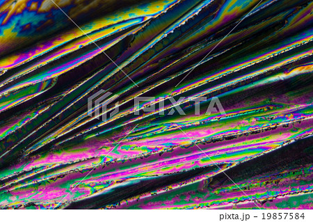 クエン酸の結晶の顕微鏡写真 19857584