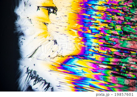 クエン酸の結晶の顕微鏡写真 クエン酸の結晶の顕微鏡写真 19857601