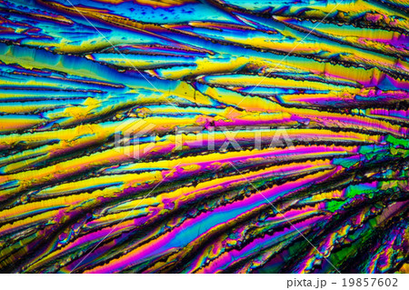 クエン酸の結晶の顕微鏡写真 19857602