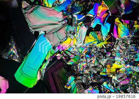 クエン酸の結晶の顕微鏡写真 クエン酸の結晶の顕微鏡写真 19857616