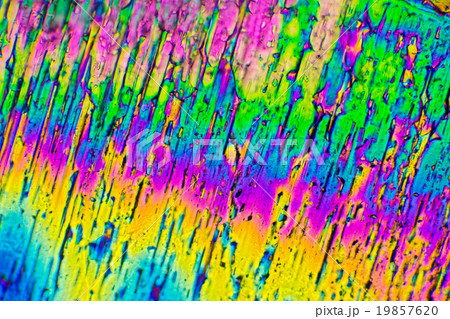 クエン酸の結晶の顕微鏡写真 19857620