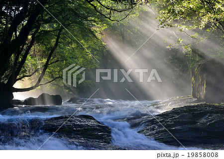 菊池渓谷 19858008