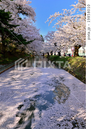 弘前公園 弘前公園 19858010