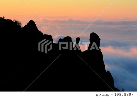 Morning silhouette 19858897