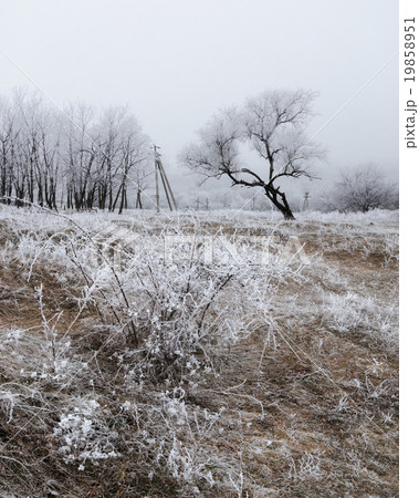 Frosted morning hill V Frosted morning hill V 19858951