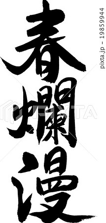 春爛漫 19859944