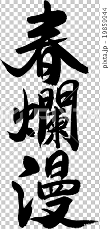 春爛漫 19859944