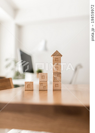積み木 19859972