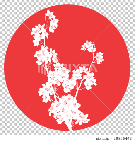 吉野櫻花樹 19866448