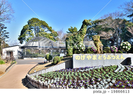 横浜野毛山動物園 横浜野毛山動物園 19866613