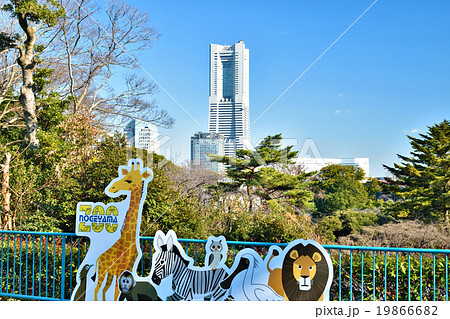 みなとみらい21（野毛山動物園より） 19866682