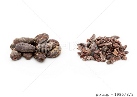 カカオ豆とカカオニブ: Cacao Beans & Nibs (Cocoa Beans) カカオ豆とカカオニブ: Cacao Beans & Nibs (Cocoa Beans) 19867875